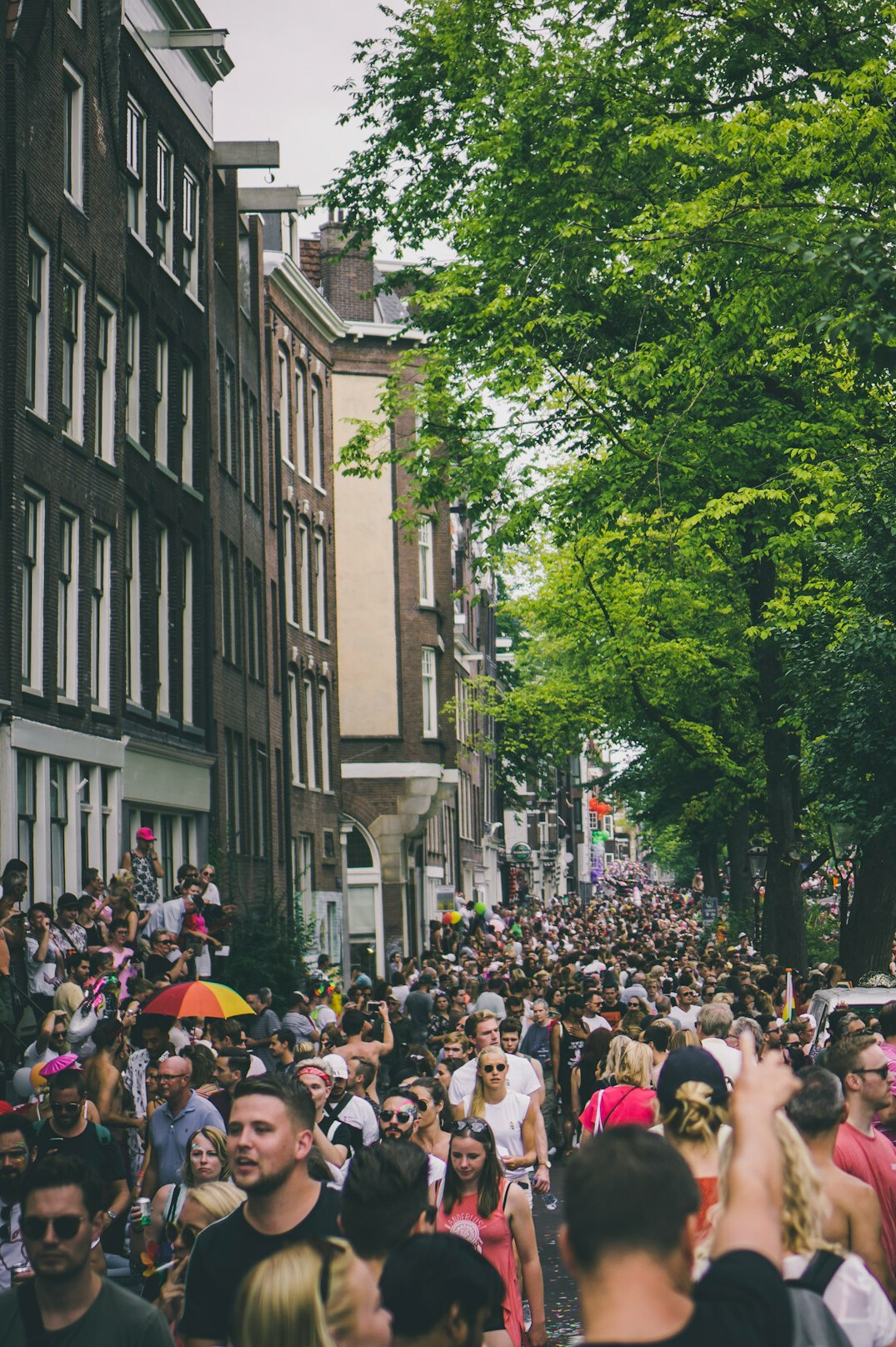 society crowd